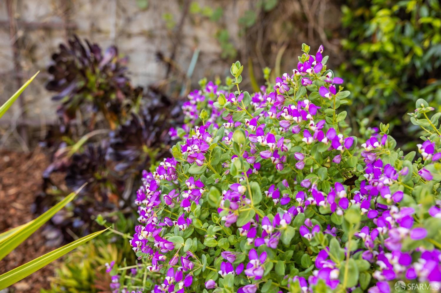 Detail Gallery Image 41 of 42 For 262 Henry St, San Francisco,  CA 94114 - 2 Beds | 1 Baths