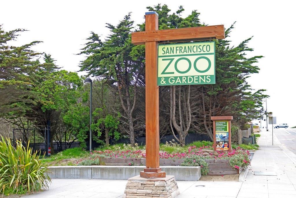 Detail Gallery Image 43 of 46 For 3626 Ulloa St, San Francisco,  CA 94116 - 3 Beds | 1/1 Baths