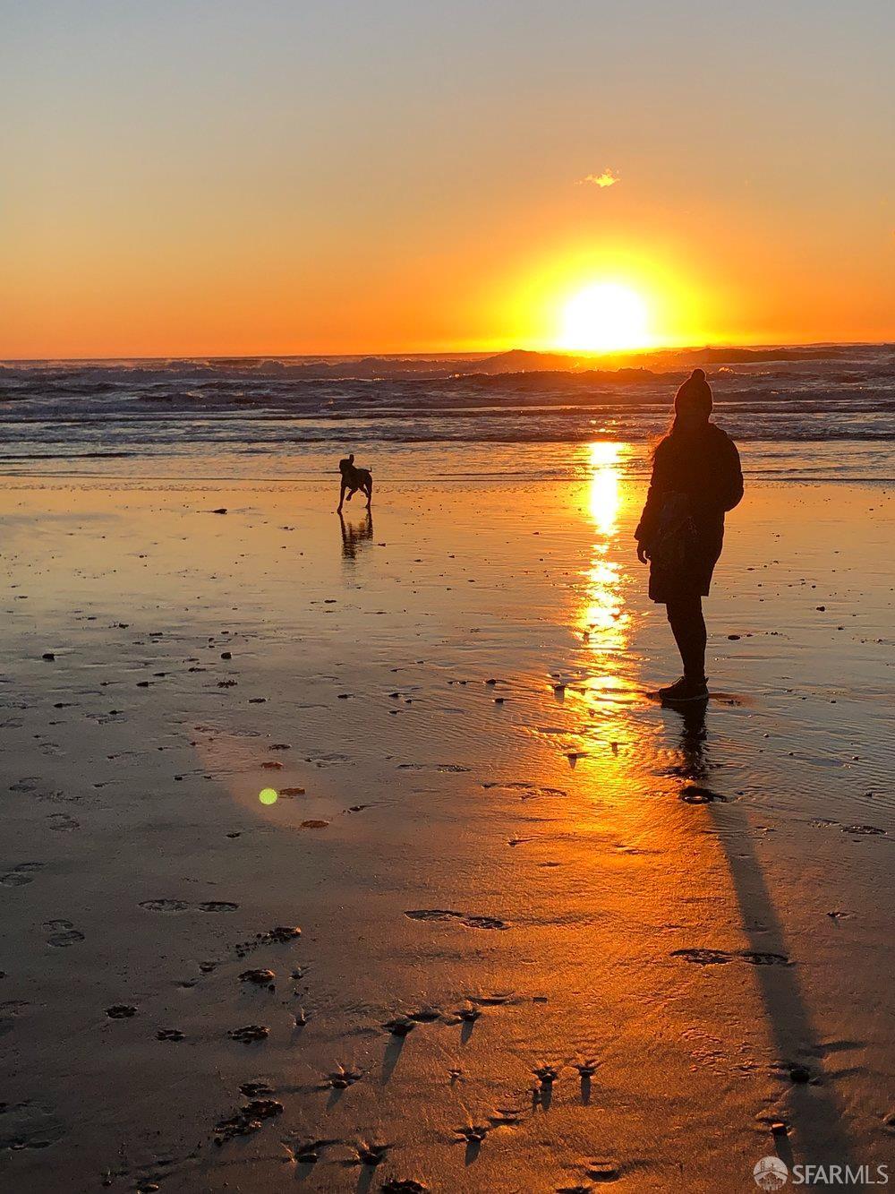 Detail Gallery Image 67 of 72 For 837 47th Ave, San Francisco,  CA 94121 - 3 Beds | 2 Baths