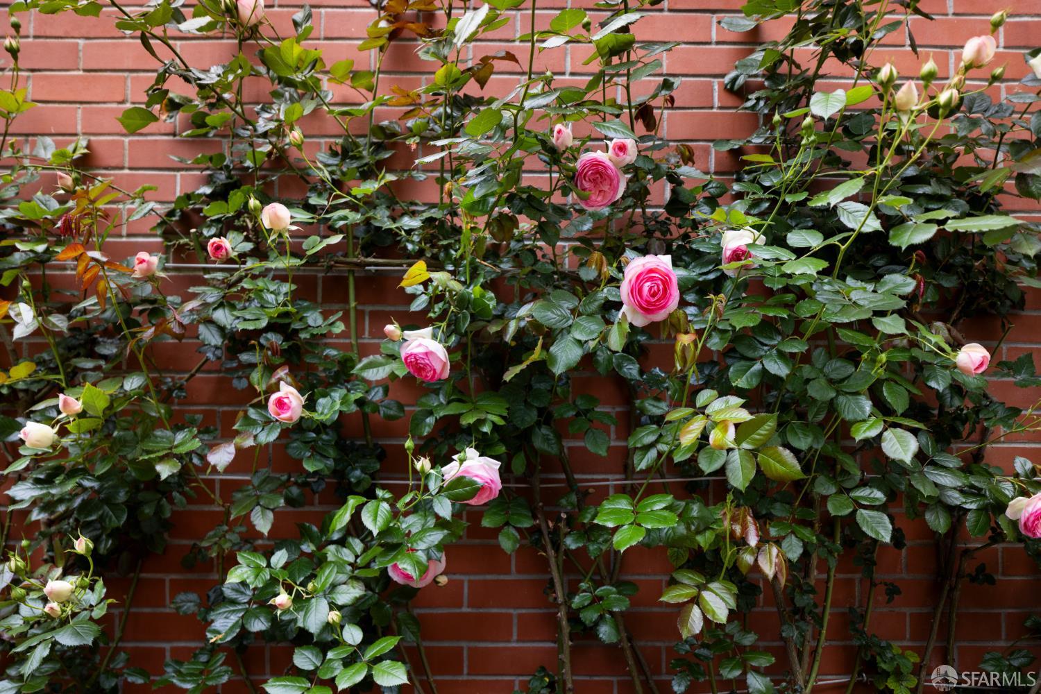 Detail Gallery Image 31 of 35 For 930 Chestnut St, San Francisco,  CA 94109 - 4 Beds | 2/1 Baths