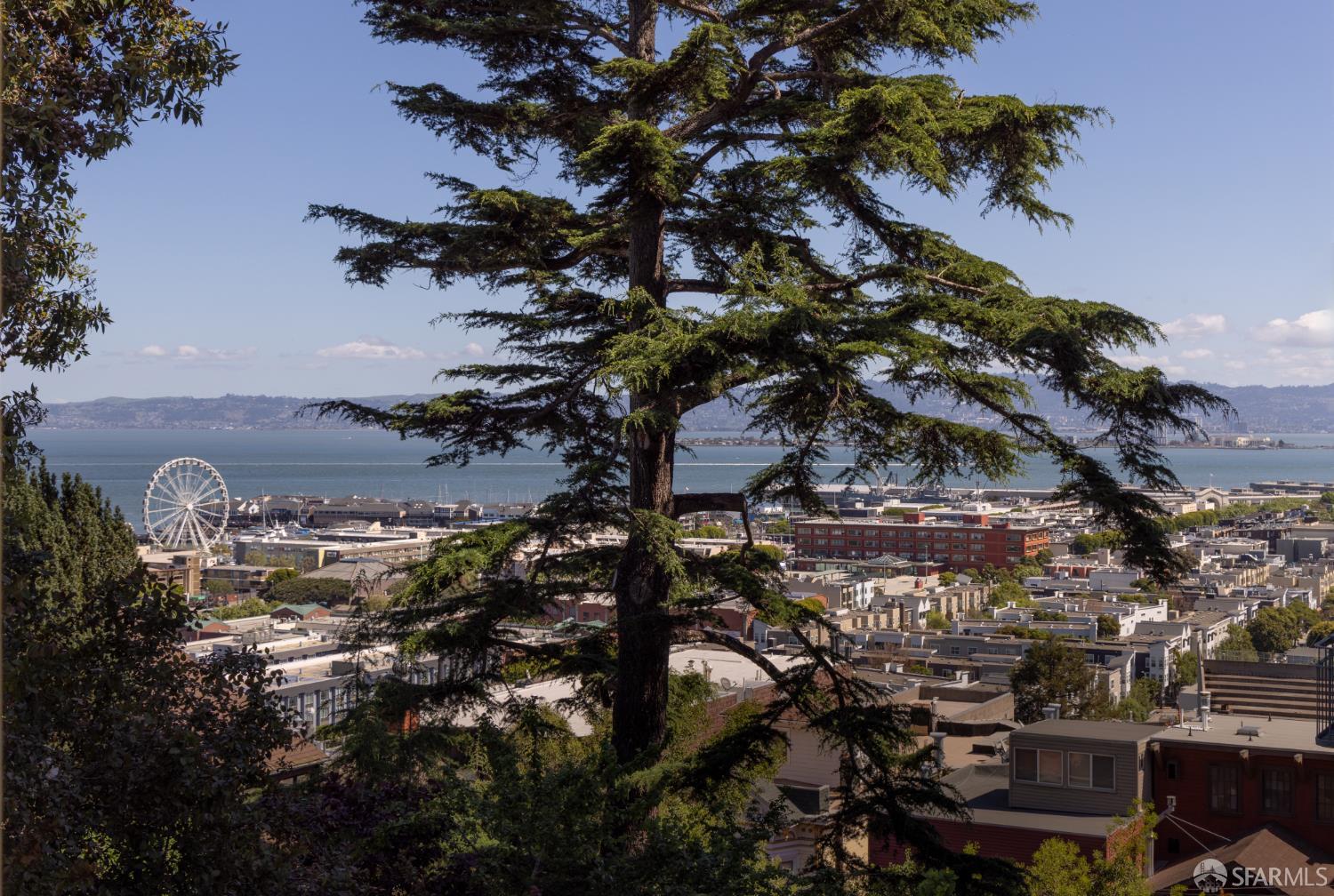 Detail Gallery Image 19 of 35 For 930 Chestnut St, San Francisco,  CA 94109 - 4 Beds | 2/1 Baths