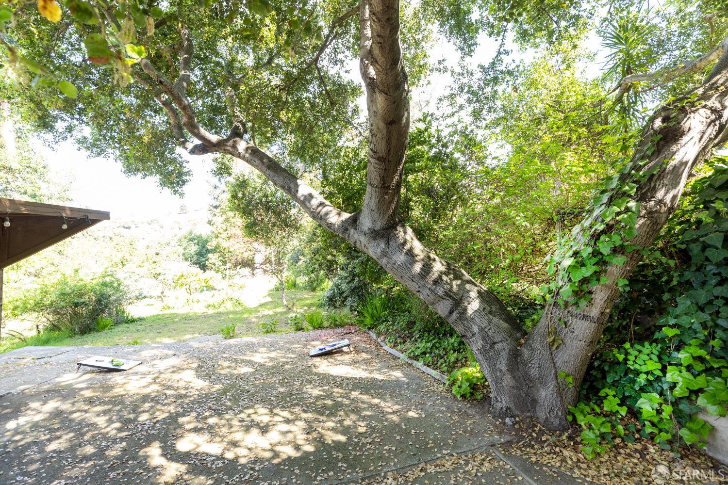 Detail Gallery Image 54 of 60 For 373 Moraga Ave, Piedmont,  CA 94611 - 4 Beds | 2 Baths