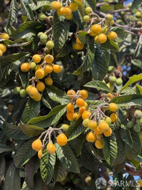 Detail Gallery Image 14 of 23 For 590 Hurlingame Ave, Redwood City,  CA 94063 - 2 Beds | 1 Baths