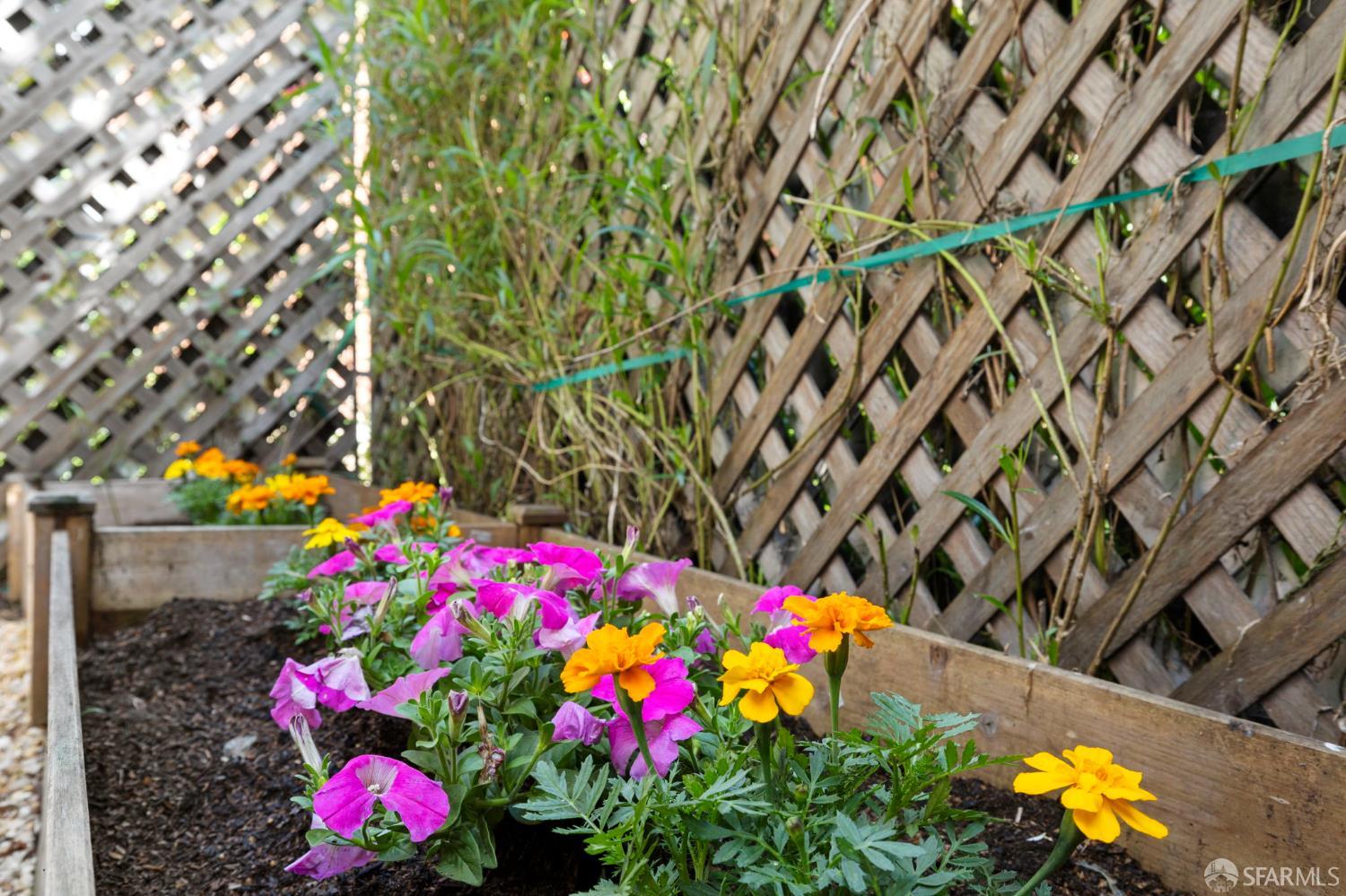 Photo #23: 426121650 Listing: Photo #23