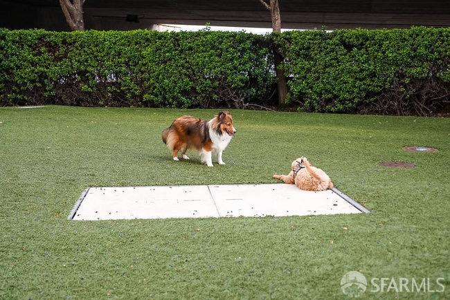 Photo #39: 426122657 Listing: Photo #39