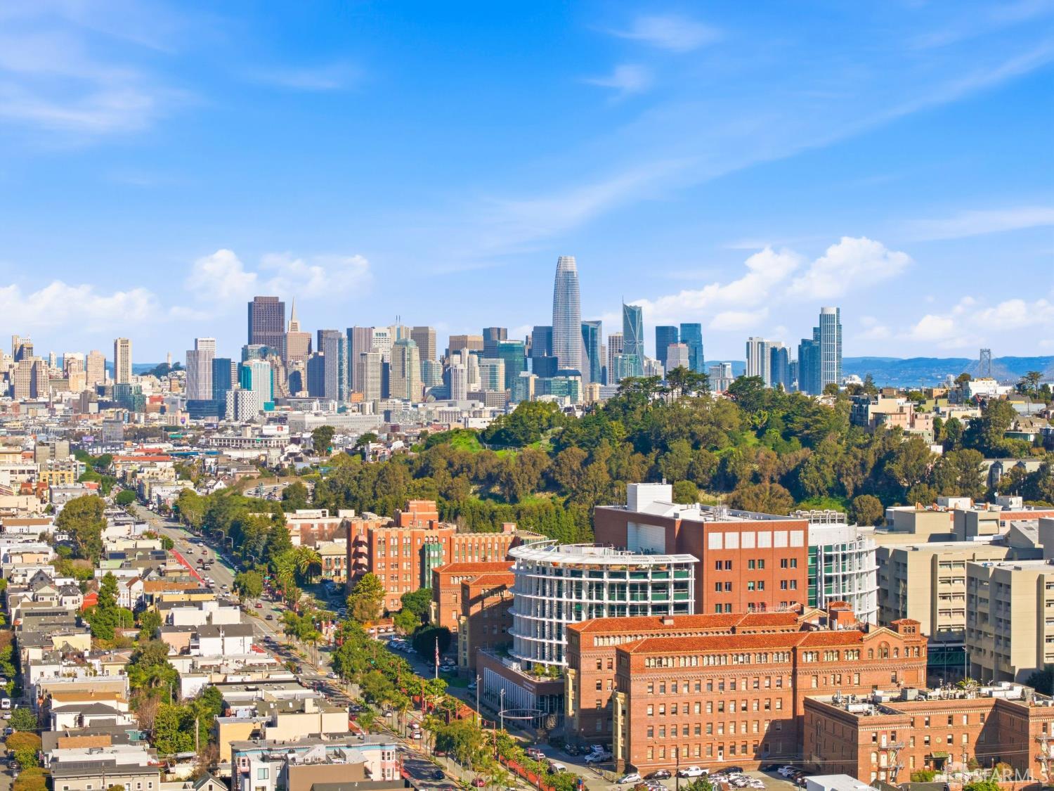 Detail Gallery Image 14 of 19 For 1270 Hampshire St, San Francisco,  CA 94110 - – Beds | – Baths