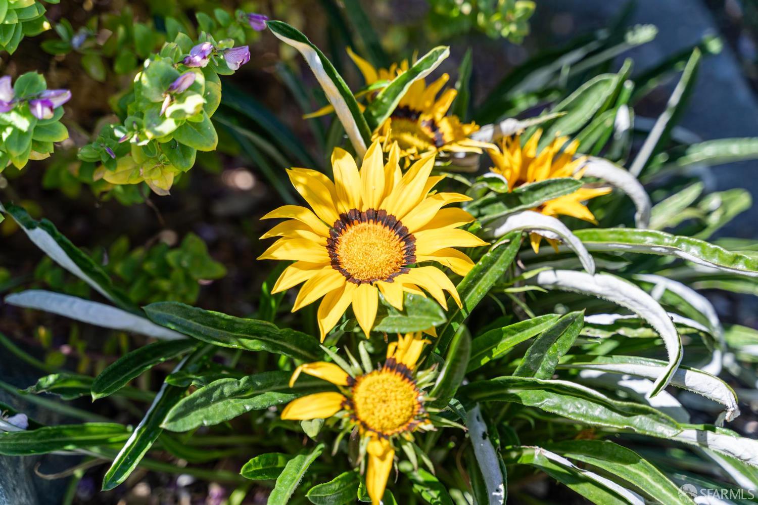 Detail Gallery Image 62 of 65 For 1122 Kendal Ct, San Jose,  CA 95120 - 4 Beds | 2/1 Baths