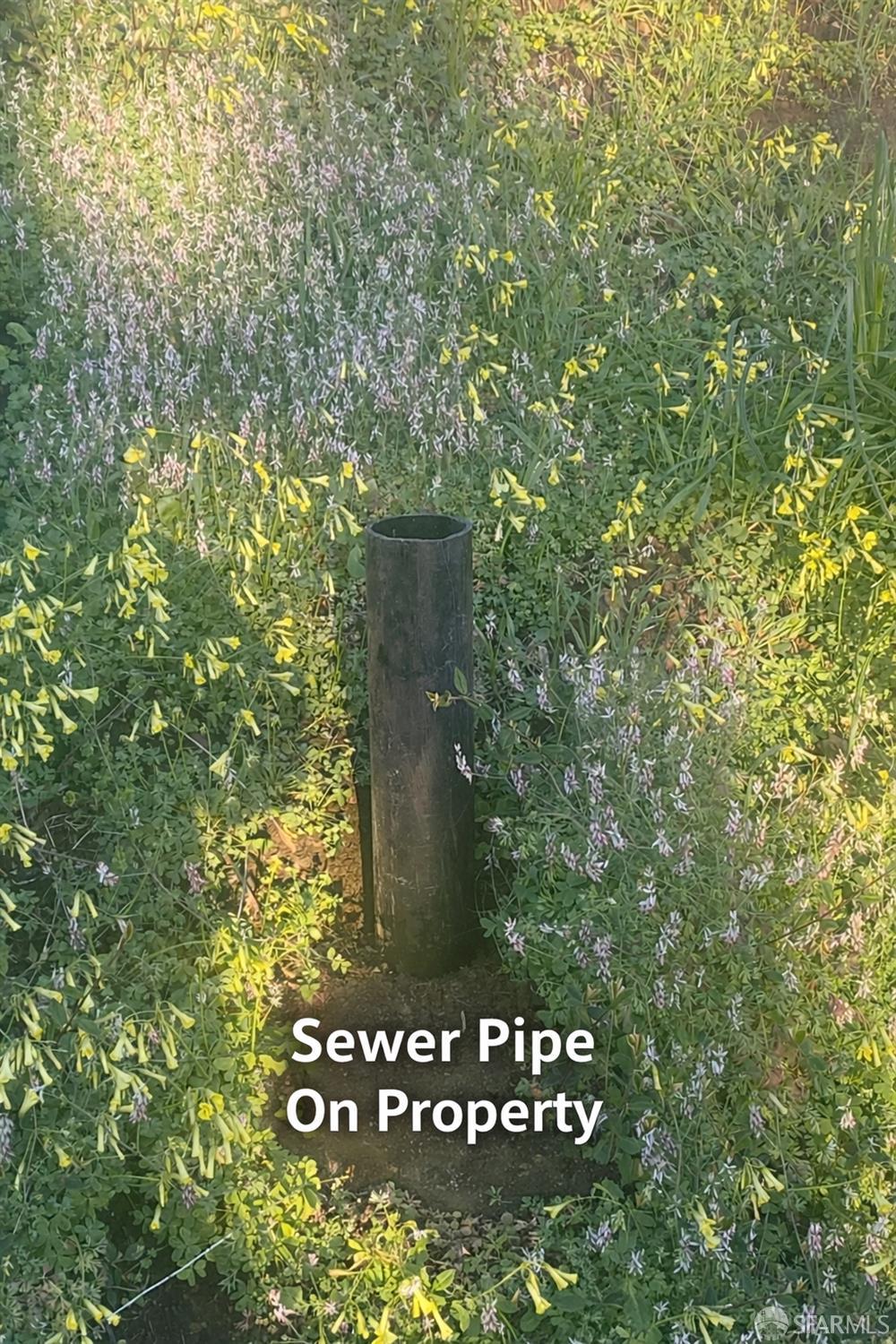 Detail Gallery Image 3 of 5 For 547 Farallon Ave, Pacifica,  CA 94044 - – Beds | – Baths