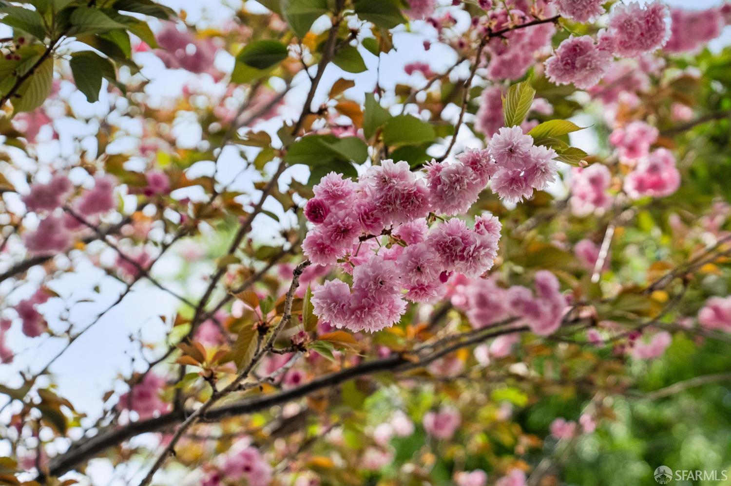 Photo #2: 426125269 Listing: Photo #2