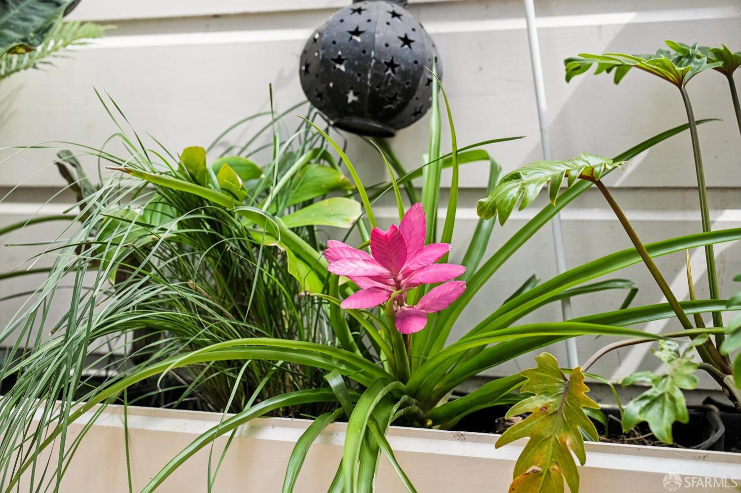 Photo #20: 426125269 Listing: Photo #20