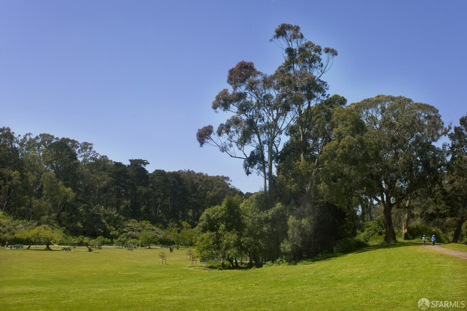 Photo #57: 426130211 Listing: Photo #57