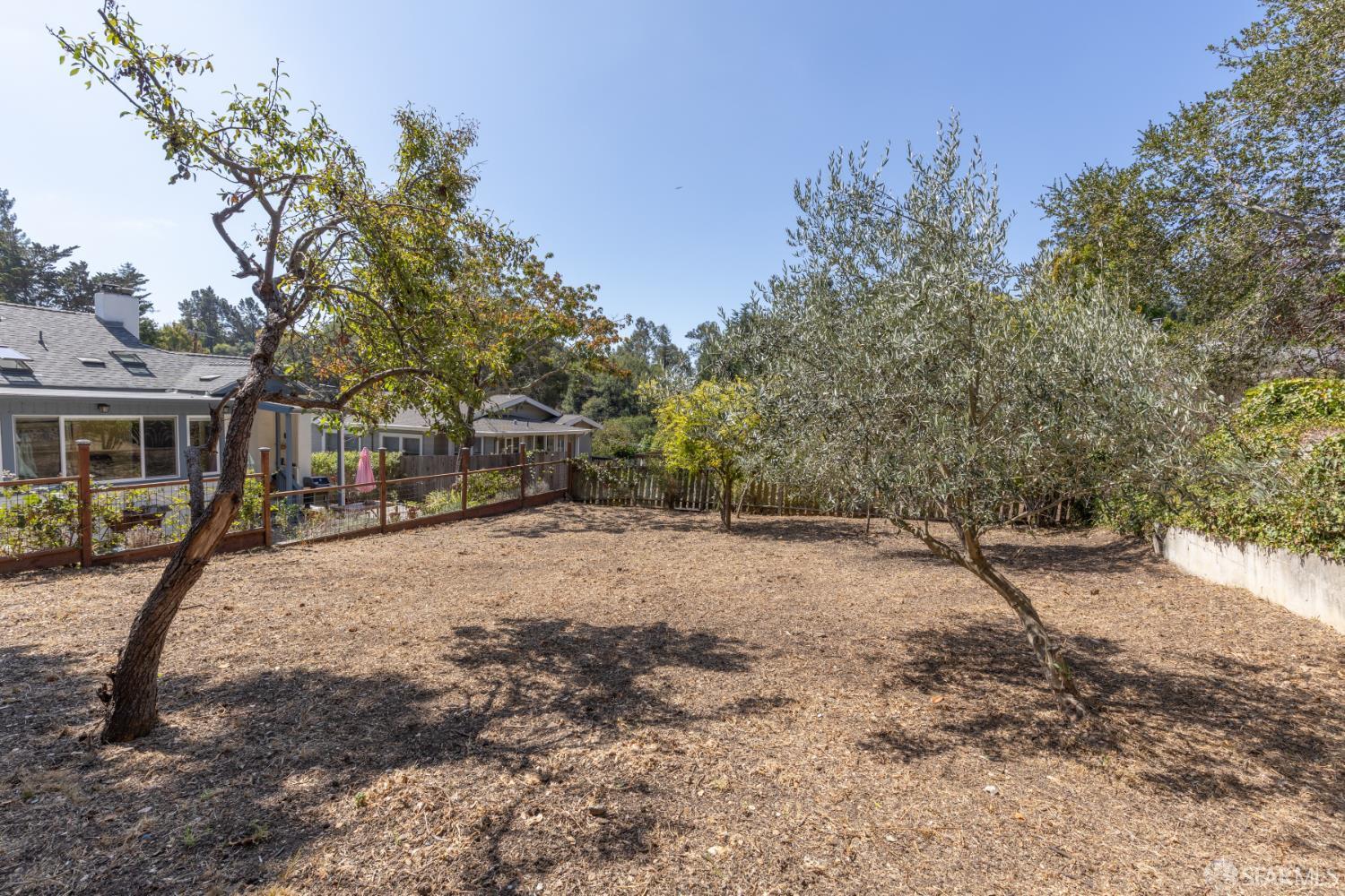3215 Guido St, Oakland — 56